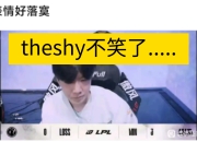  切尔西新教练 